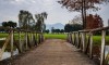 Hotel Majestic Radisson Blu Resort 4* - 4 dni/ 3 noči, 2x green fee