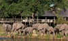Cape Town, Winelands, and Sabi Sabi - 14 noči, 5 green fee, rent a car